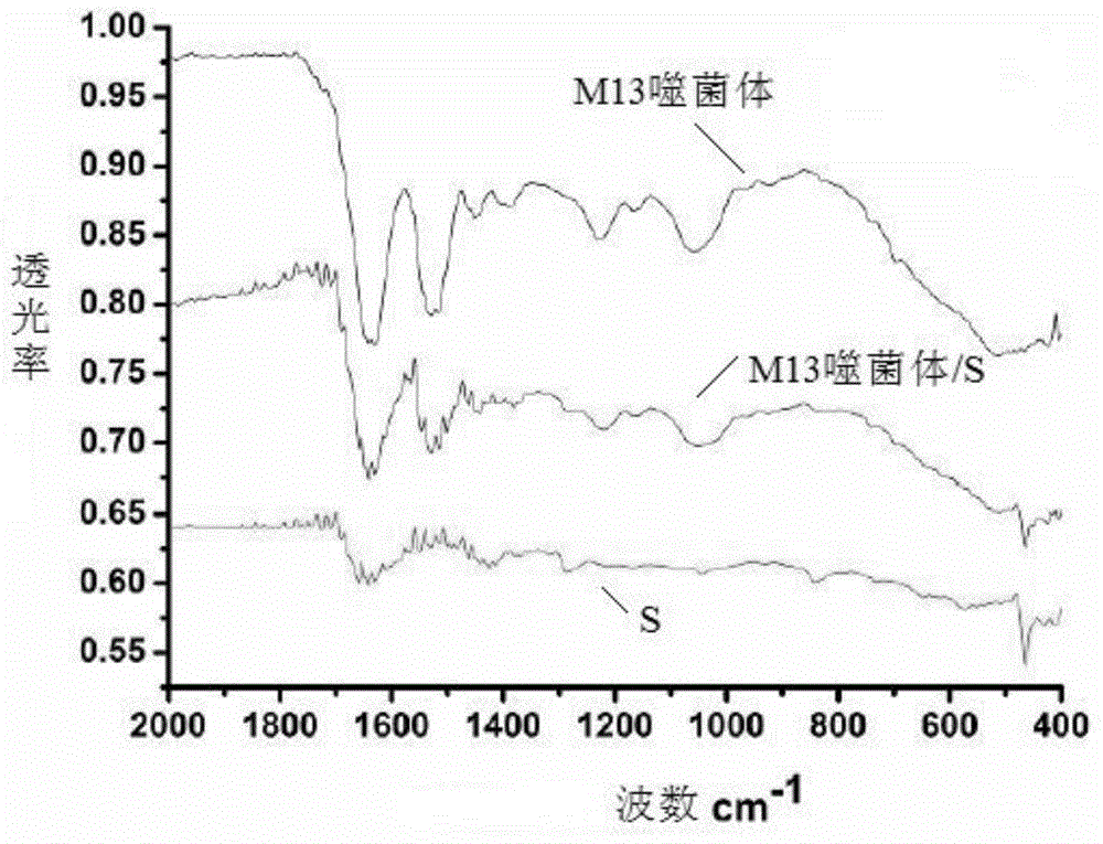 Electrode composite material, preparation method thereof, anode possessing the electrode composite material and cell