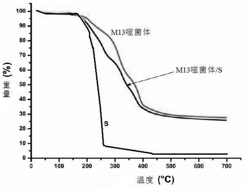 Electrode composite material, preparation method thereof, anode possessing the electrode composite material and cell