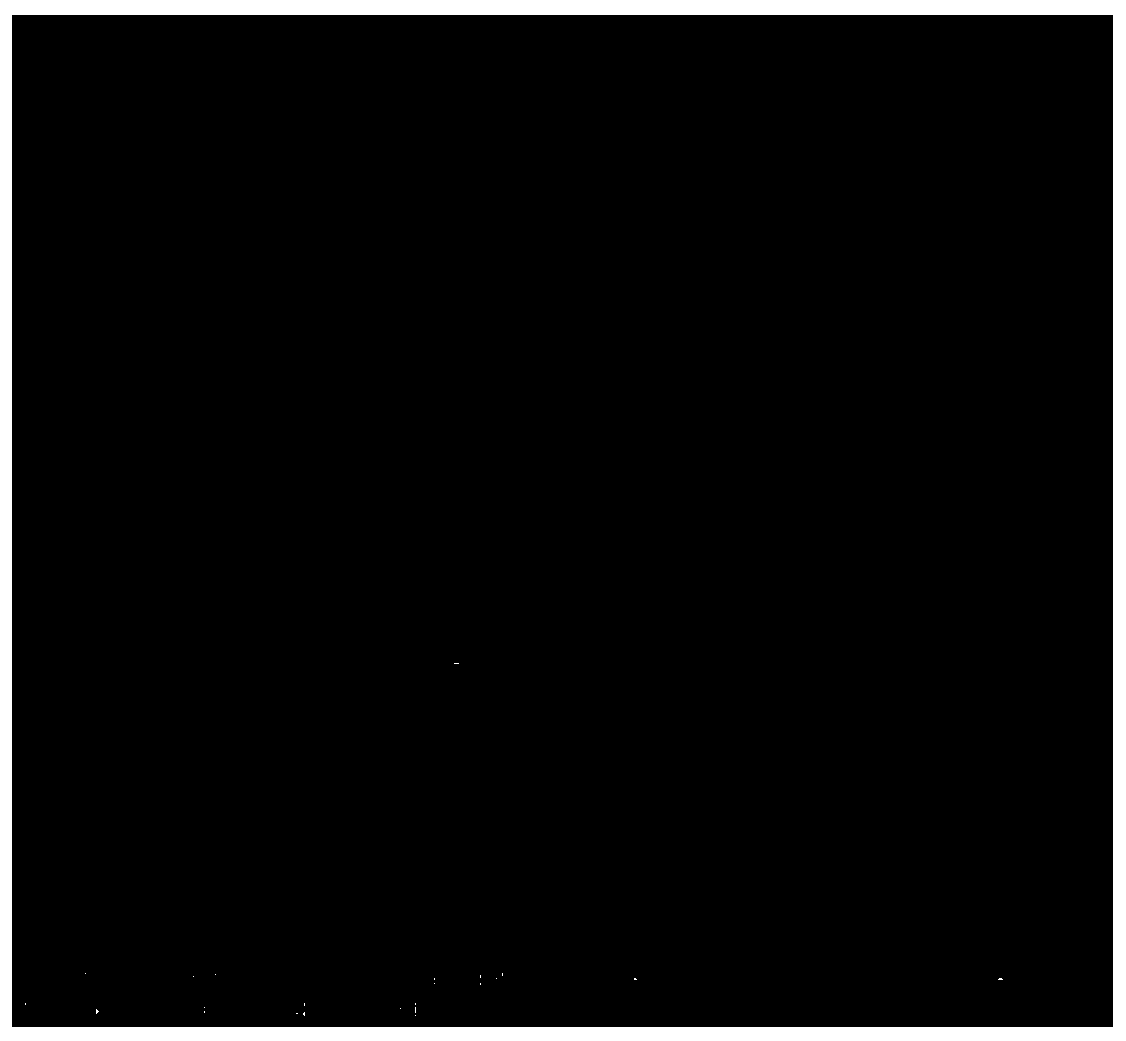 Microwave-assisted preparation process of tuna bone meal