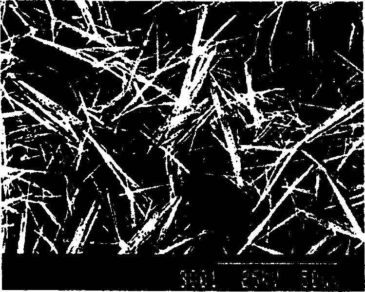 Inorganic whisper reinforced polyolefin composite material in-situ filled polymerization preparing method