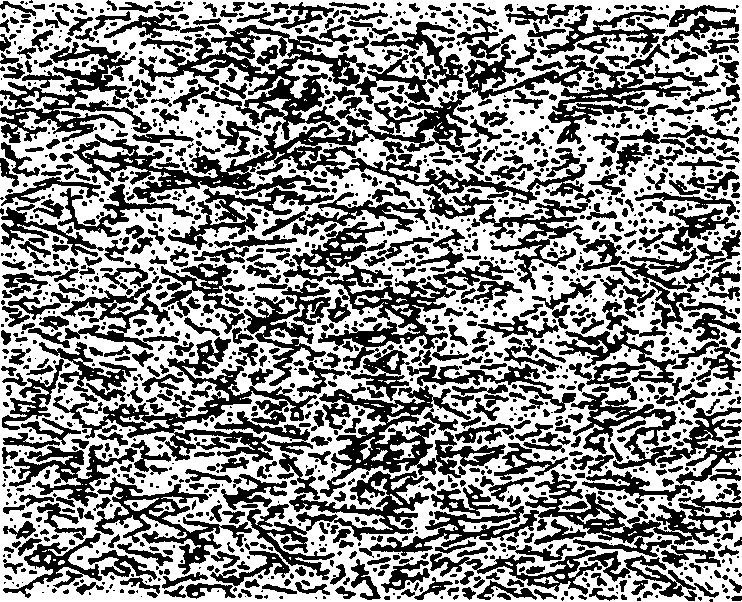 Inorganic whisper reinforced polyolefin composite material in-situ filled polymerization preparing method