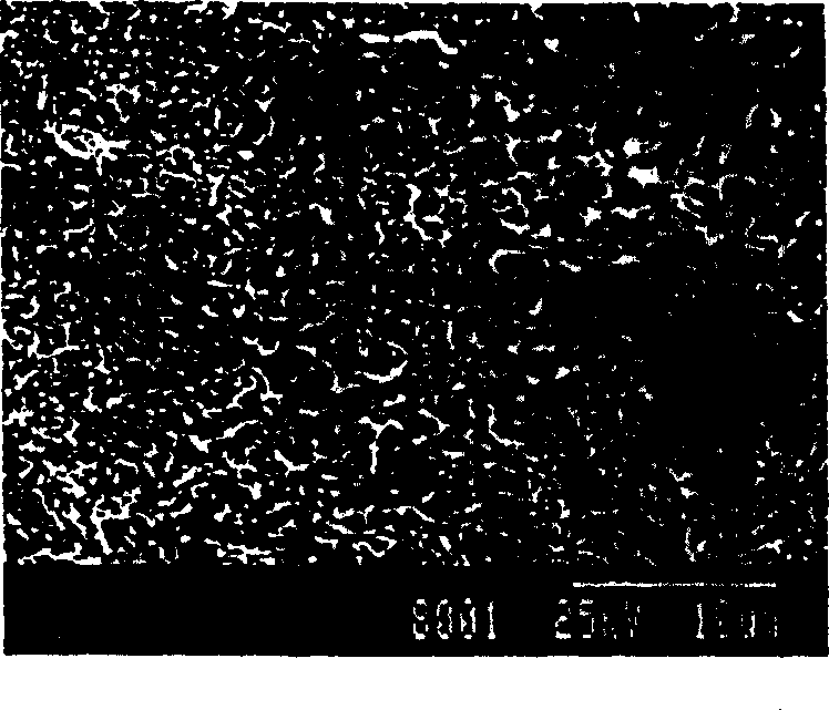 Inorganic whisper reinforced polyolefin composite material in-situ filled polymerization preparing method