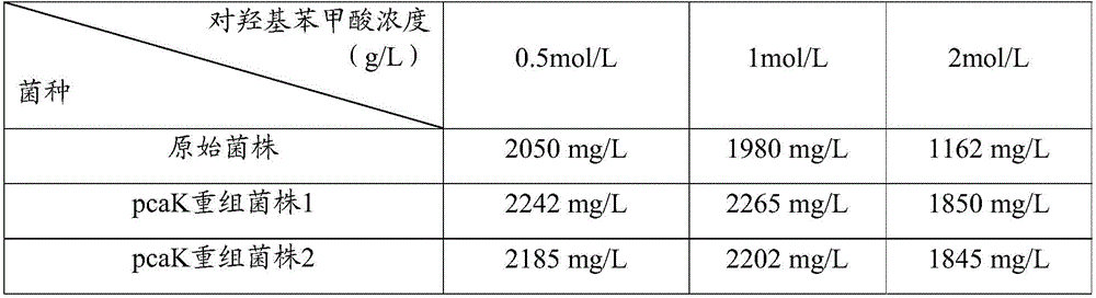 Rhodobacter sphaeroides strain and preparation method and application thereof