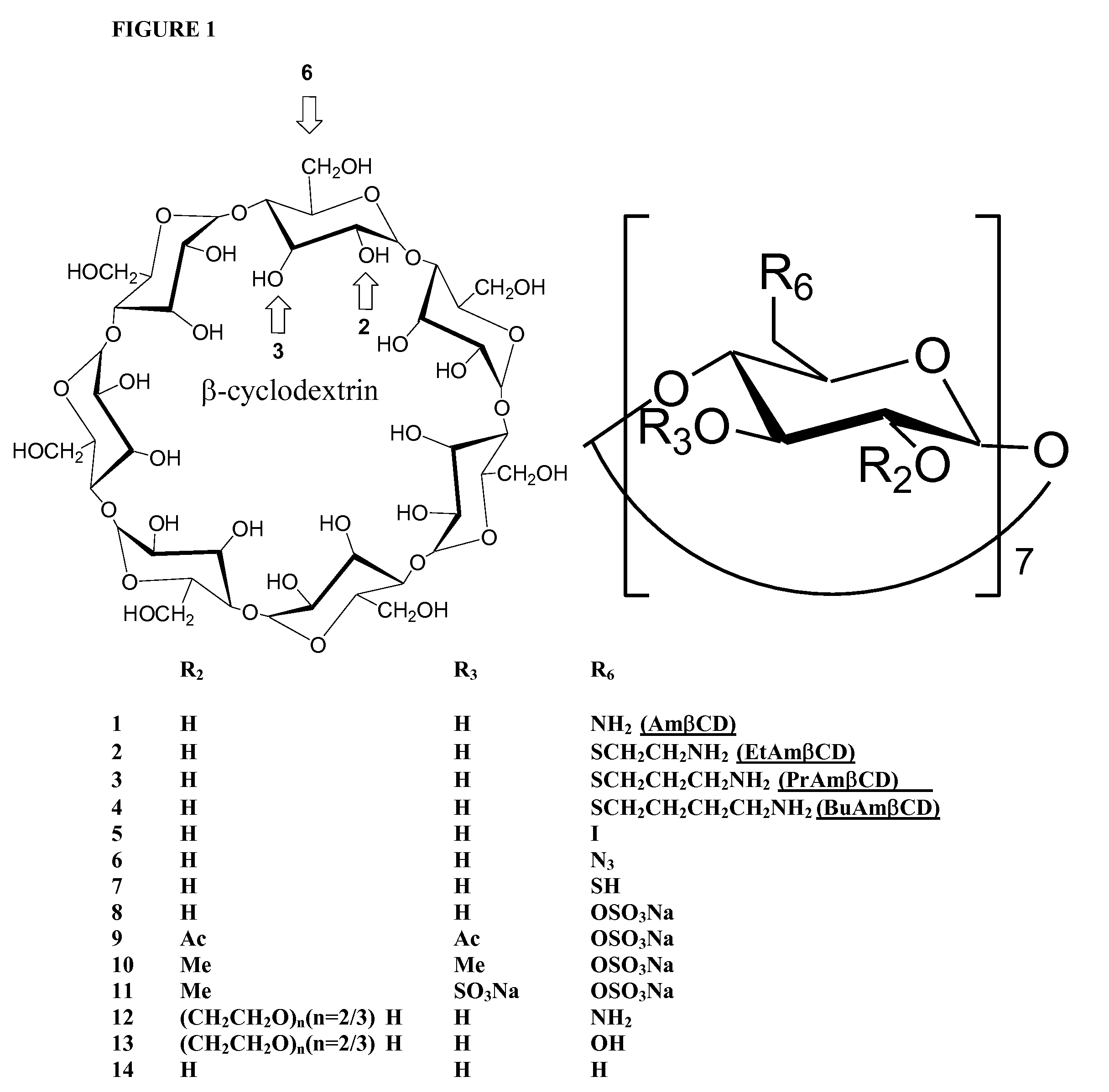 B-cyclodextrin derivatives and their use against anthrax lethal toxin