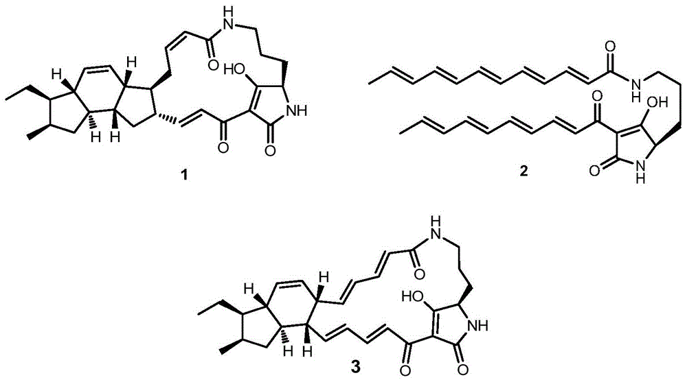 Biosynthetic gene cluster of ikarugamycin and application of biosynthetic gene cluster