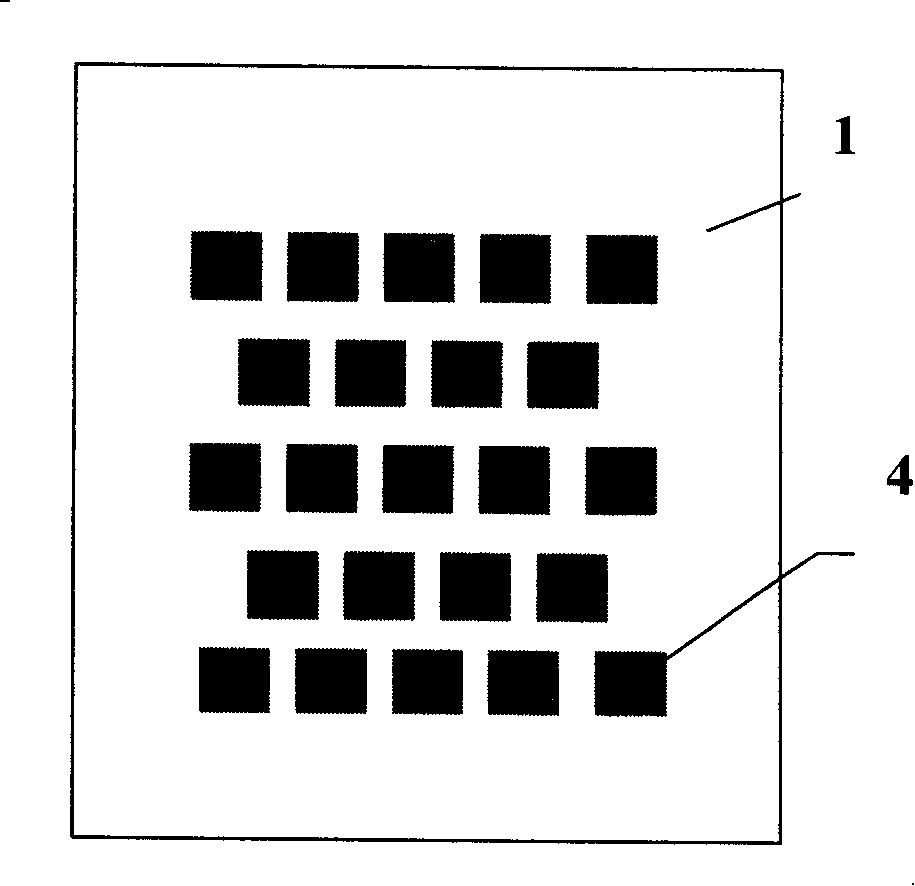 Cathode flow field plate for self-breathing micro-proton exchange film fuel cell and producing method