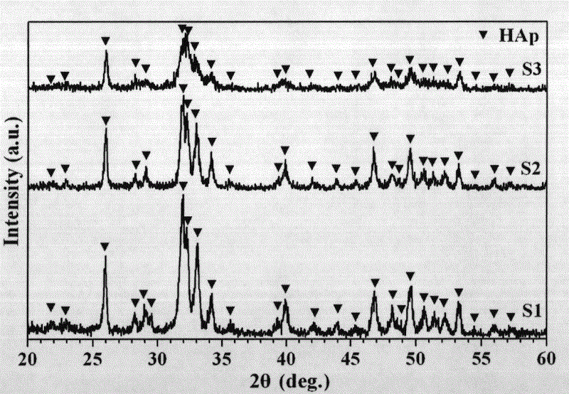 Method for hydro-thermal preparation of hydroxyapatite powder by calcium silicate precursor