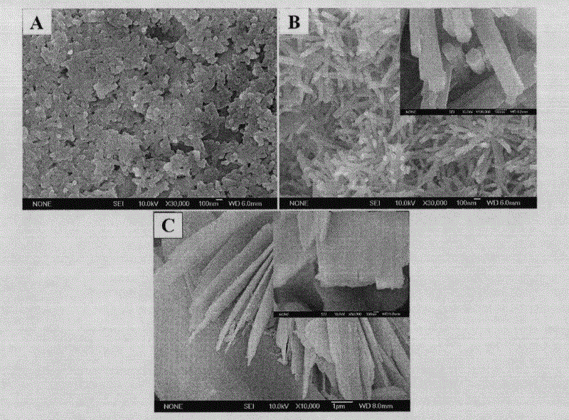 Method for hydro-thermal preparation of hydroxyapatite powder by calcium silicate precursor