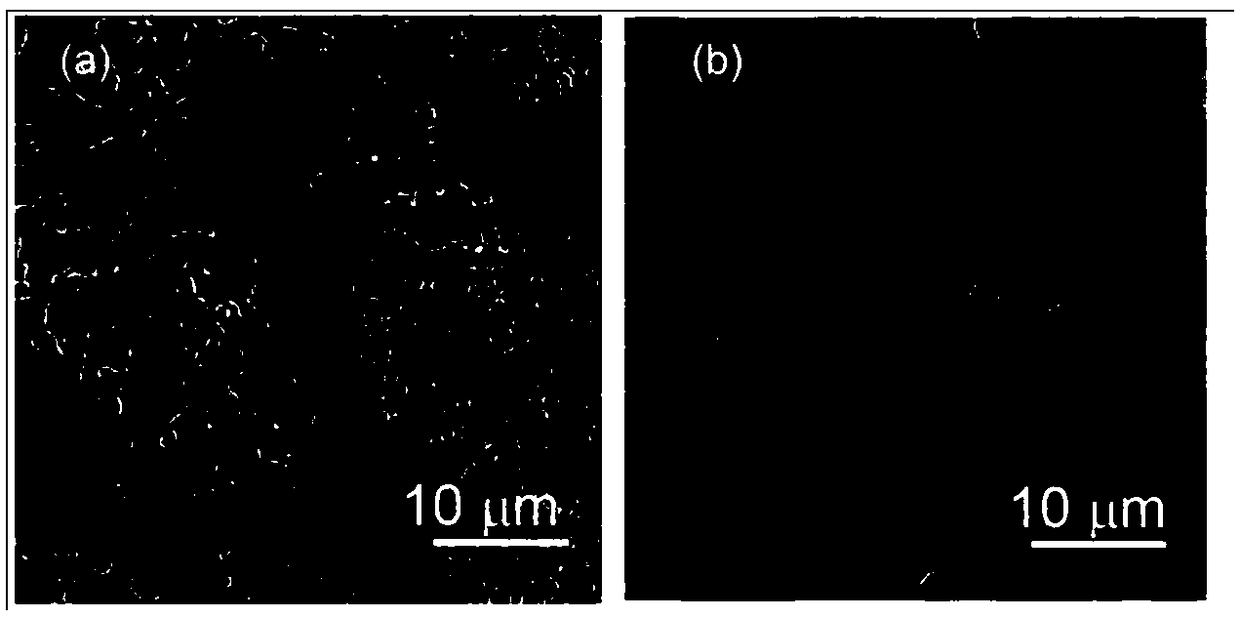 Copper-zinc alloy current collector for inhibiting lithium dendrites