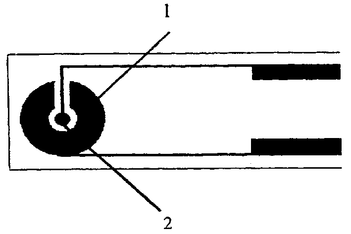 Biological testing strip