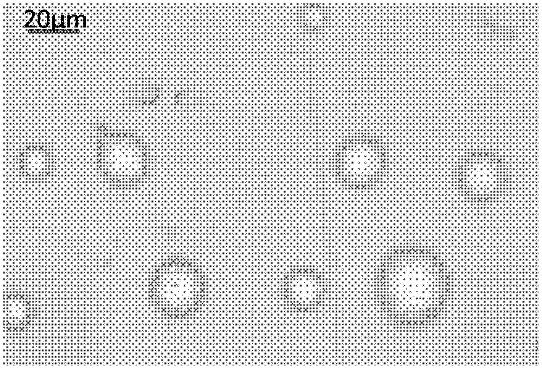 Method for utilizing ink-jet printing technology to prepare photonic crystal composite membrane with responsiveness and patterning