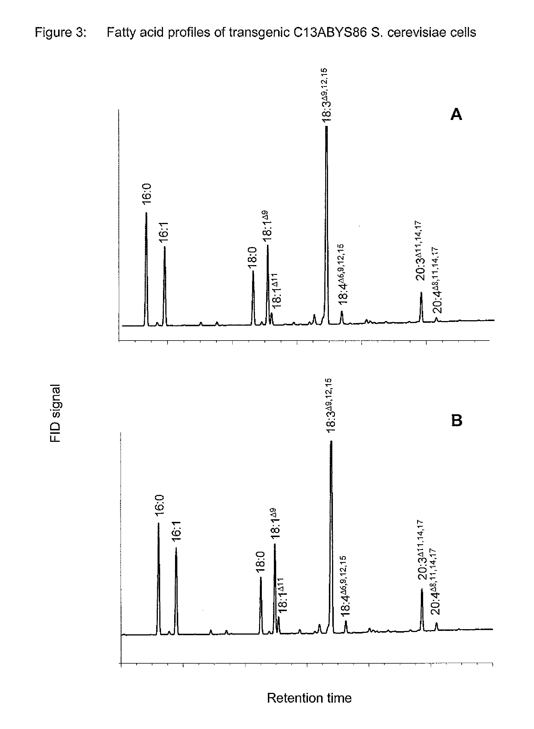 Method For The Production Of Polyunsaturated Fatty Acids