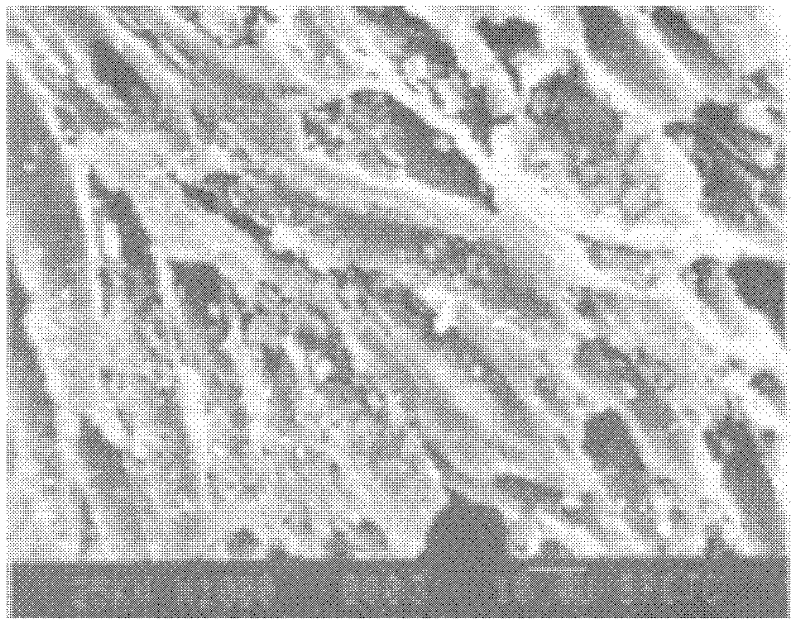 Carbon adsorbent special for methane in pressure swing adsorption and preparation method for carbon adsorbent