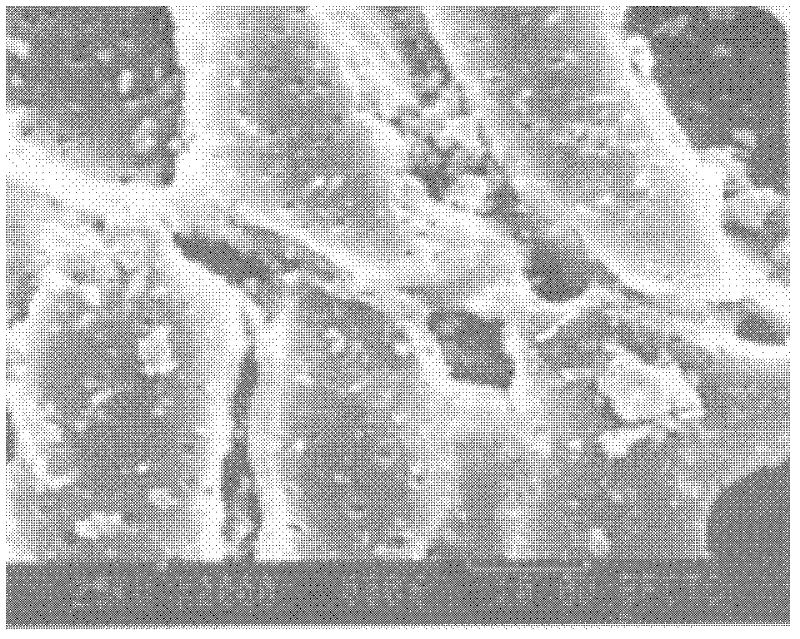 Carbon adsorbent special for methane in pressure swing adsorption and preparation method for carbon adsorbent