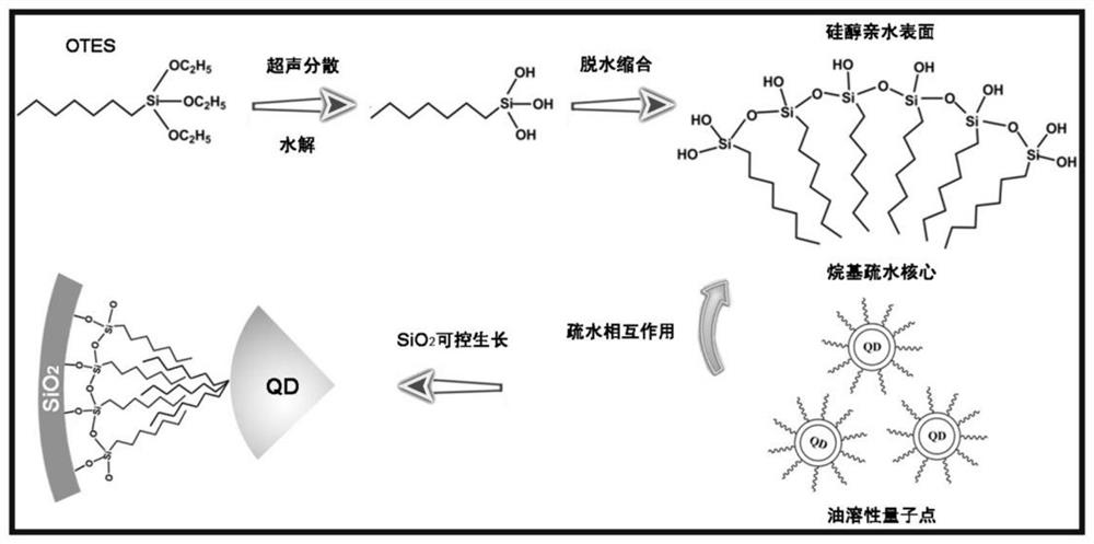 Quantum dot fluorescent nanospheres based on amphiphilic silicon carrier and preparation method thereof