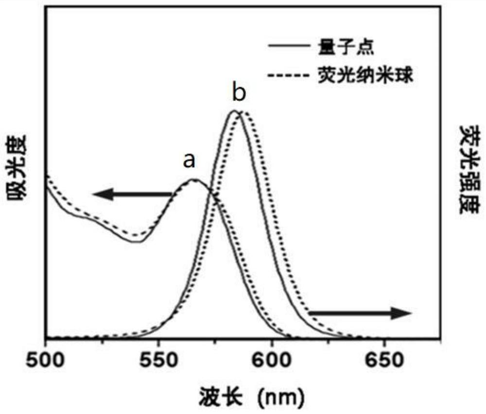 Quantum dot fluorescent nanospheres based on amphiphilic silicon carrier and preparation method thereof