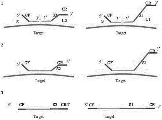 Kit for detecting hereditary deafness susceptibility gene mutation