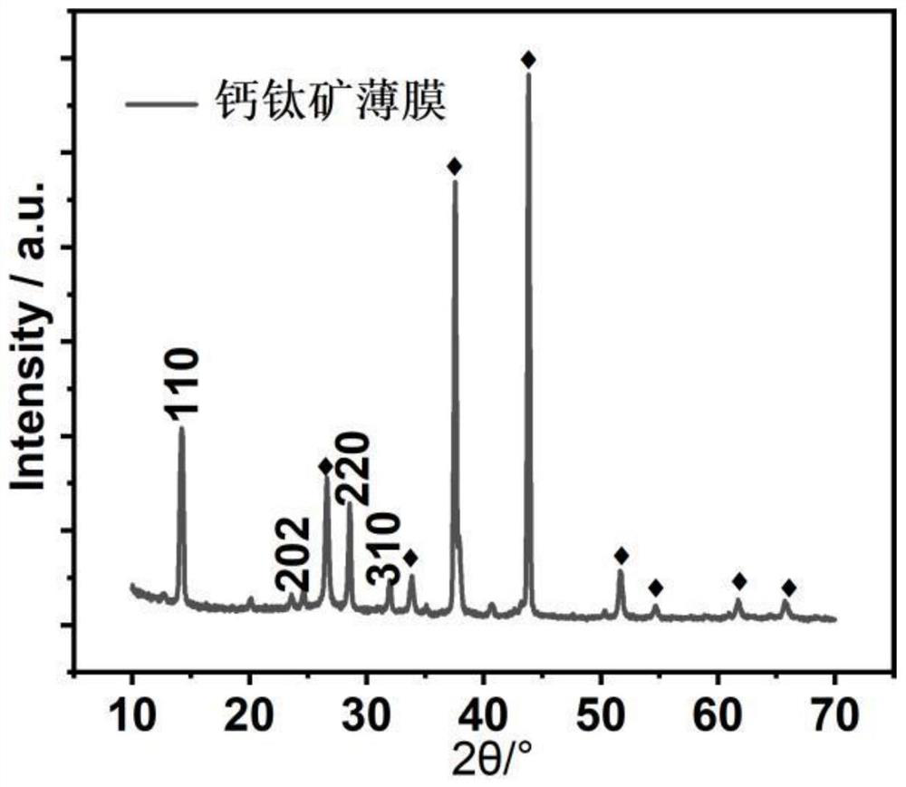 Full-coverage perovskite thin film and preparation method thereof