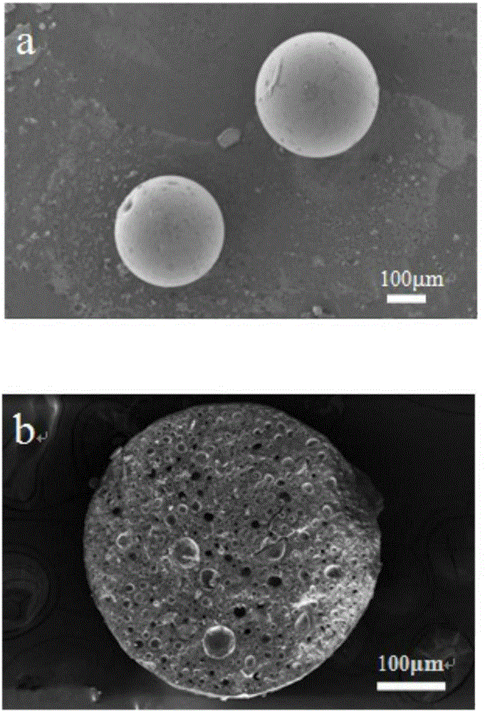 Method for producing biodiesel by utilizing immobilized lipase and adopting static emulsion method