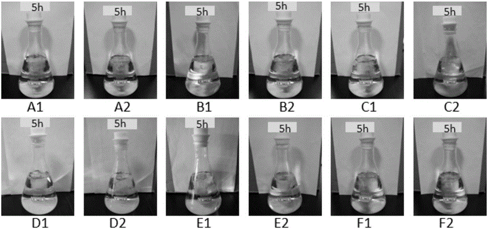 Multifunctional plastic with anti-microbial effect, oxidation resistance and metal-chelating property and preparation method thereof