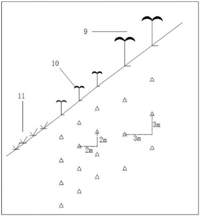 Method for ecological agriculture reconstruction of coal mining subsidence waterlogged area