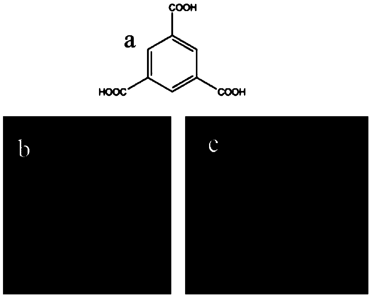 Method for extracting and detecting saponin active components in ginseng leaves