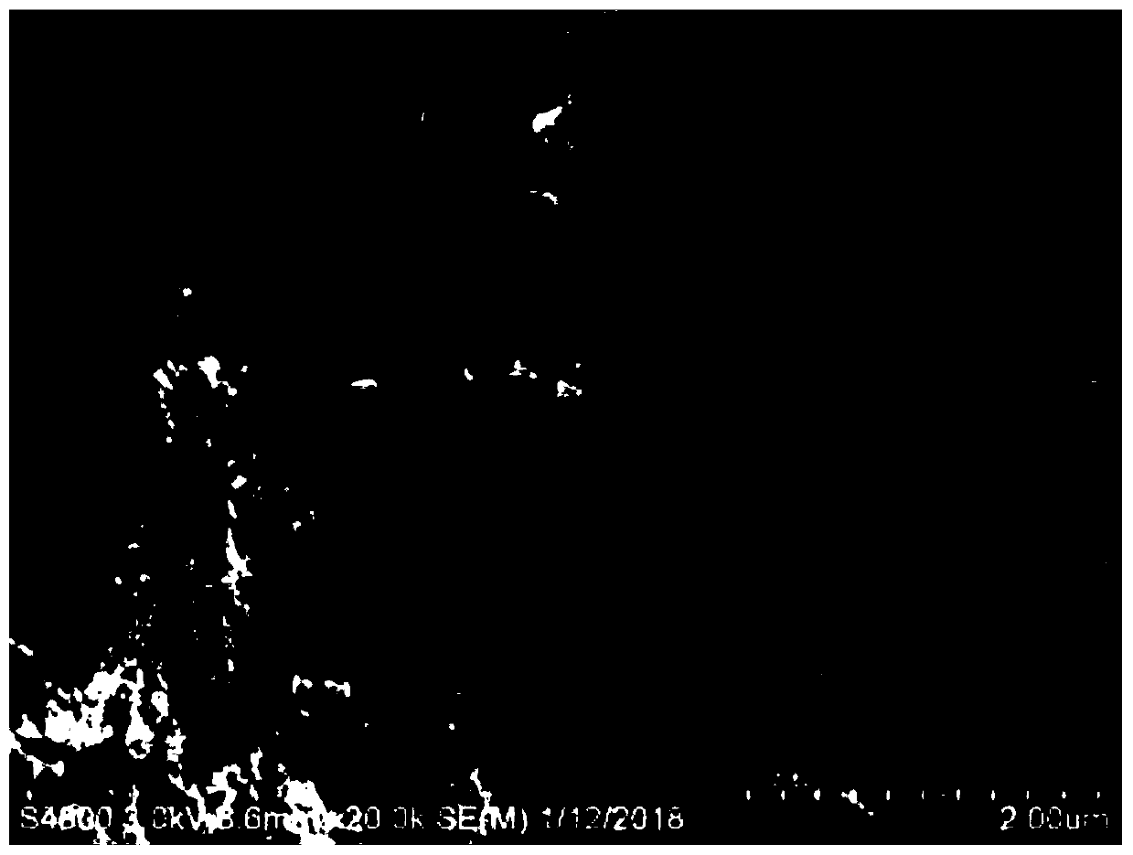 Method for extracting and detecting saponin active components in ginseng leaves