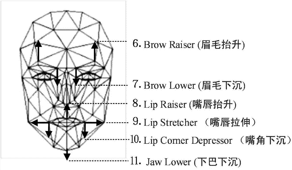 Real-time expression feature extraction and identification method