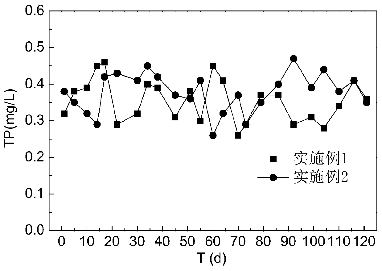 Denitrification and dephosphorization filler for sewage and preparation method thereof