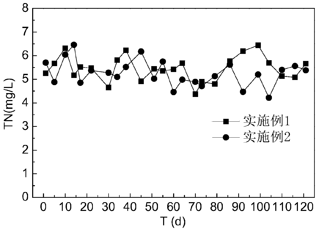 Denitrification and dephosphorization filler for sewage and preparation method thereof