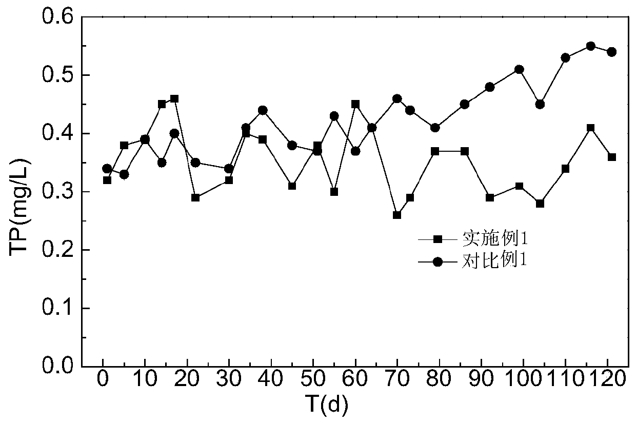 Denitrification and dephosphorization filler for sewage and preparation method thereof