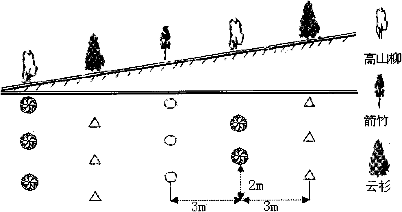 Method for recovering staple food bamboos for pandas in subalpine regions