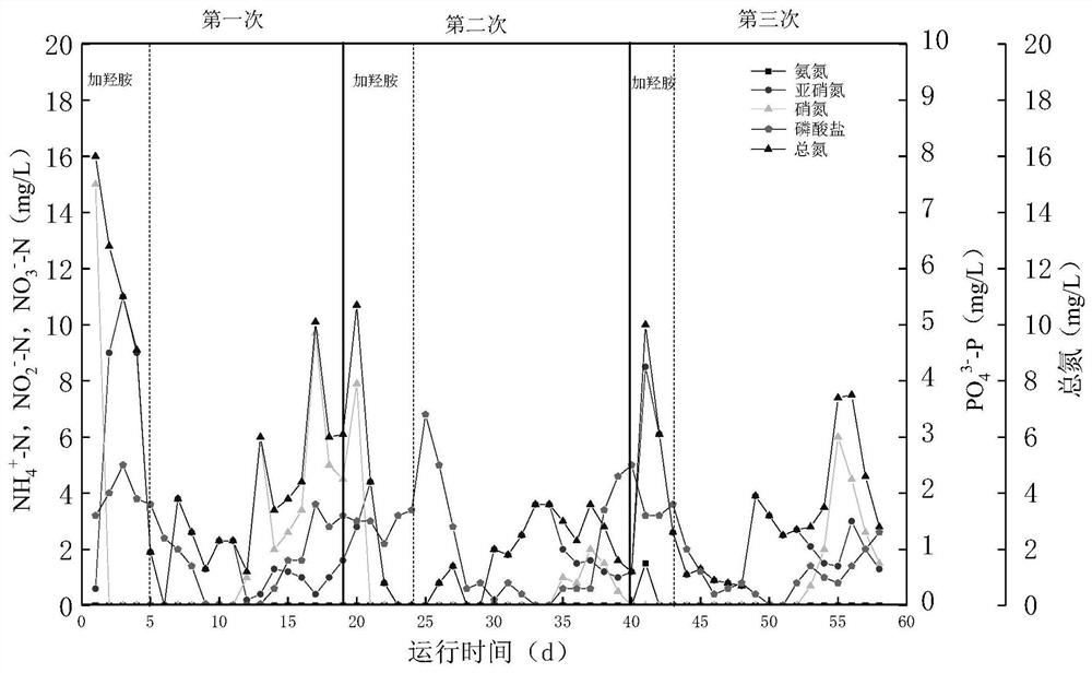 Sewage treatment method for inhibiting nitrifying bacteria and enhancing nitrogen and phosphorus removal efficiency