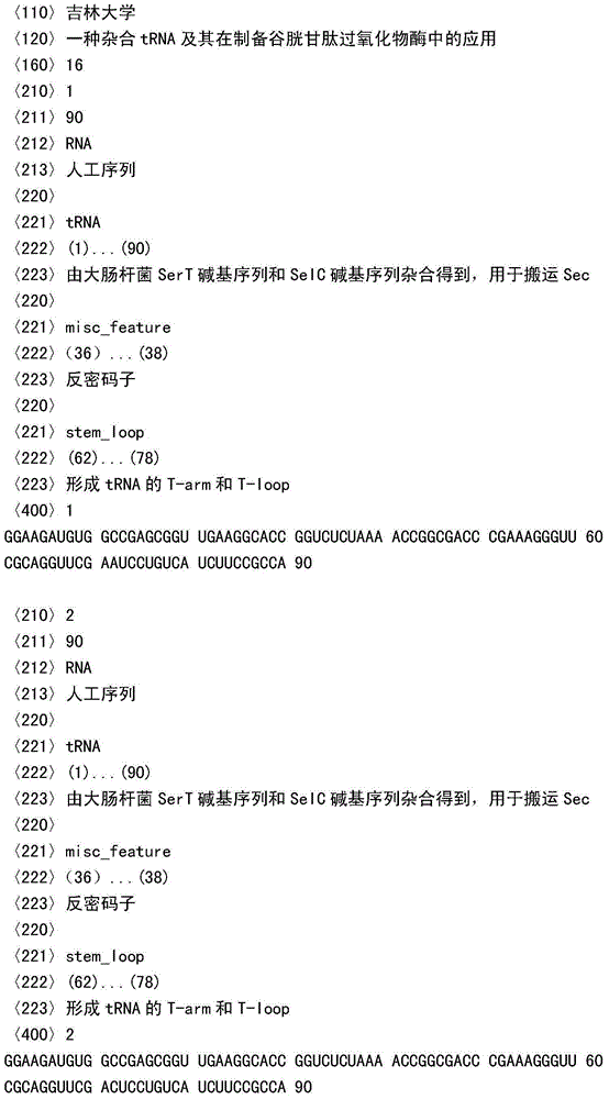 Hybridized tRNA (transfer ribonucleic acid) and application thereof to glutathione peroxidase preparation