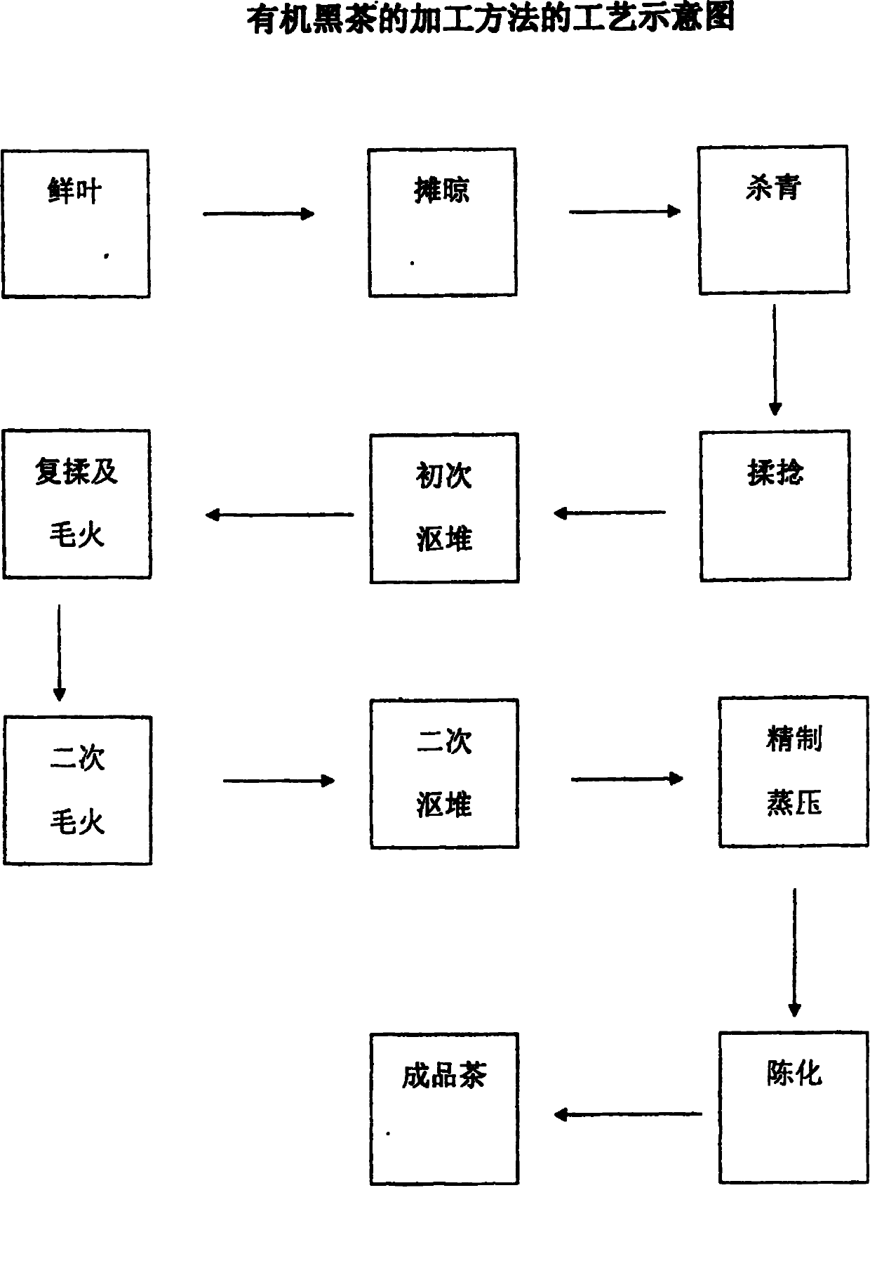 Method for processing organic black tea