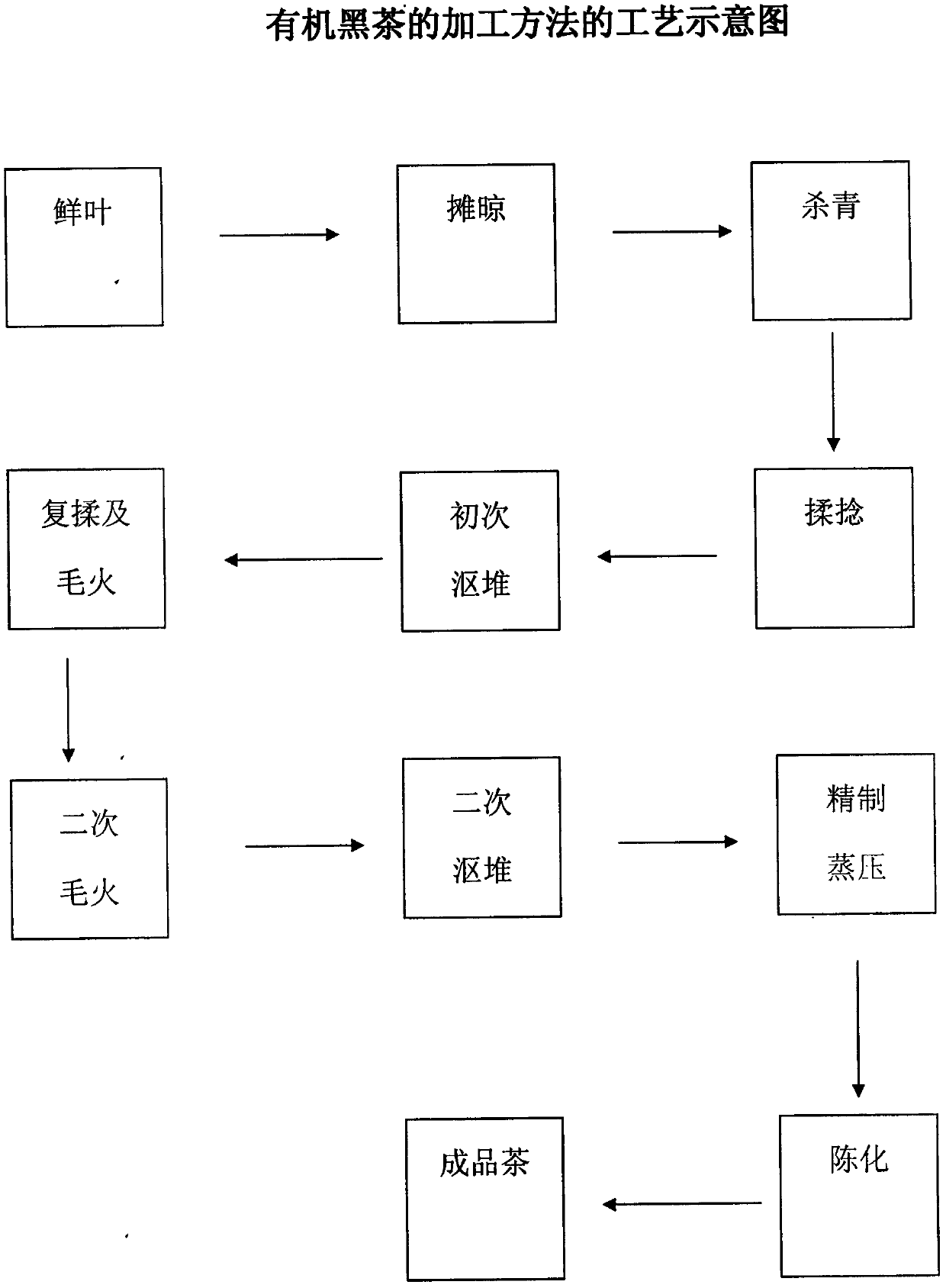 Method for processing organic black tea