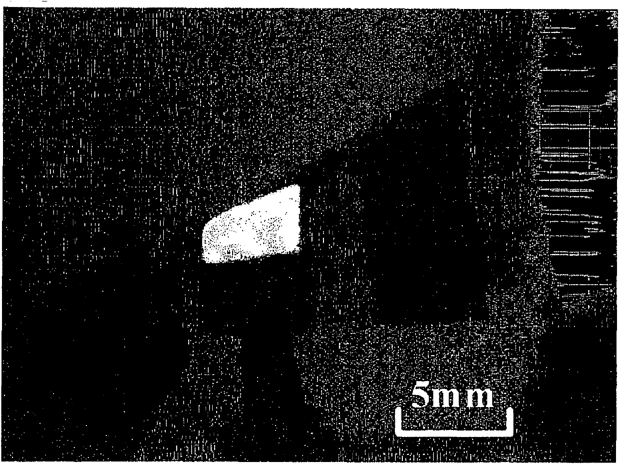 Image display device and organic electroluminescence element