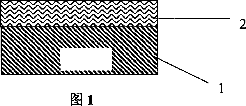 Photoetching method for nanoparticle pattern based on self organization