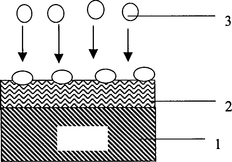 Photoetching method for nanoparticle pattern based on self organization