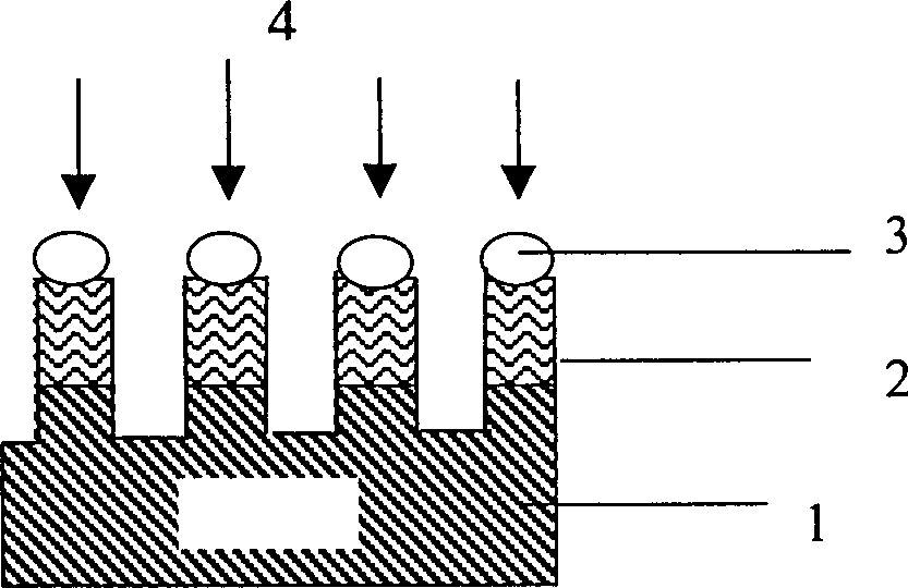 Photoetching method for nanoparticle pattern based on self organization