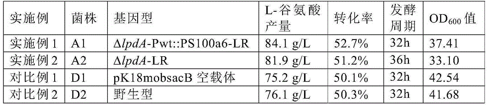 Method for preparing recombinant L-glutamic acid producing strain, strain prepared by method and application method of strain