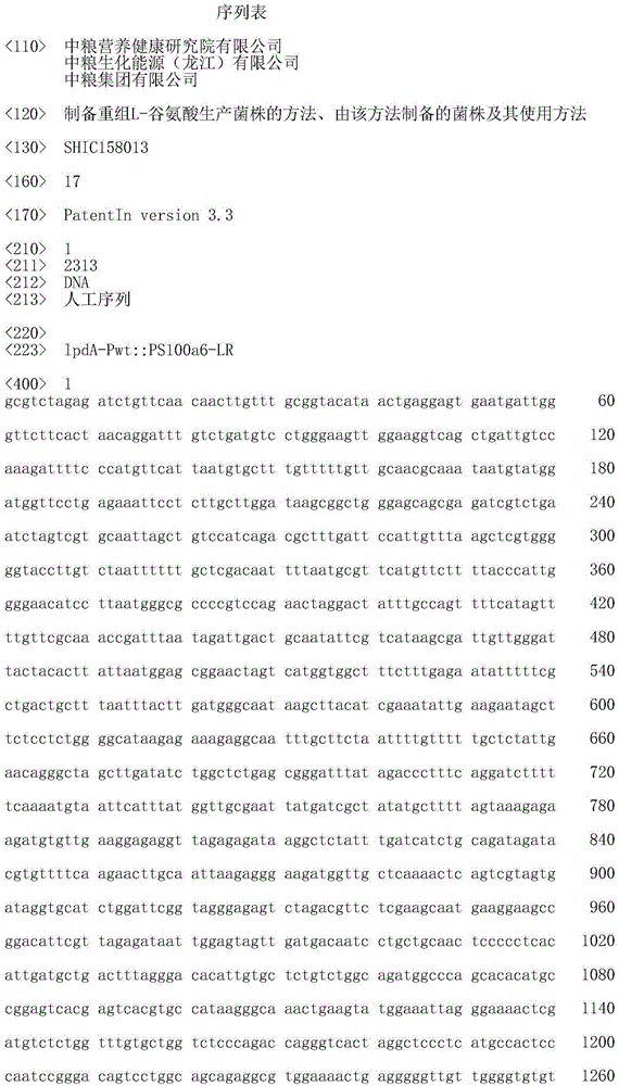 Method for preparing recombinant L-glutamic acid producing strain, strain prepared by method and application method of strain