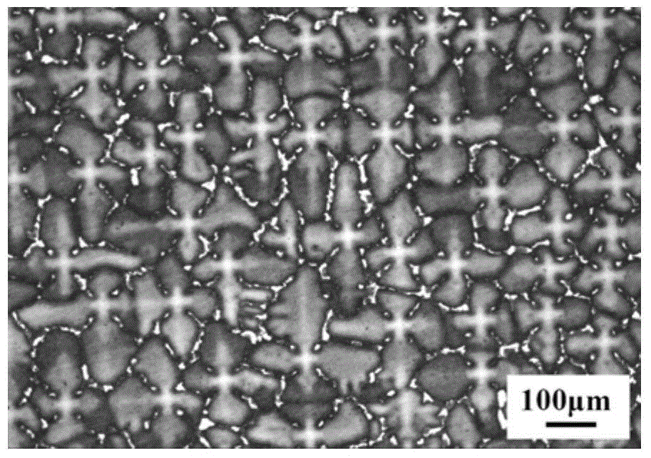 Rhenium-free low-density high-performance nickel-based monocrystalline high-temperature alloy and heat treatment technology thereof