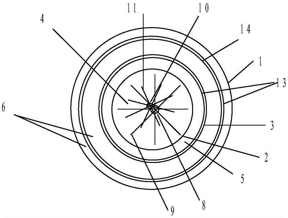 Activated carbon catalytic ozonation device and its sewage treatment process