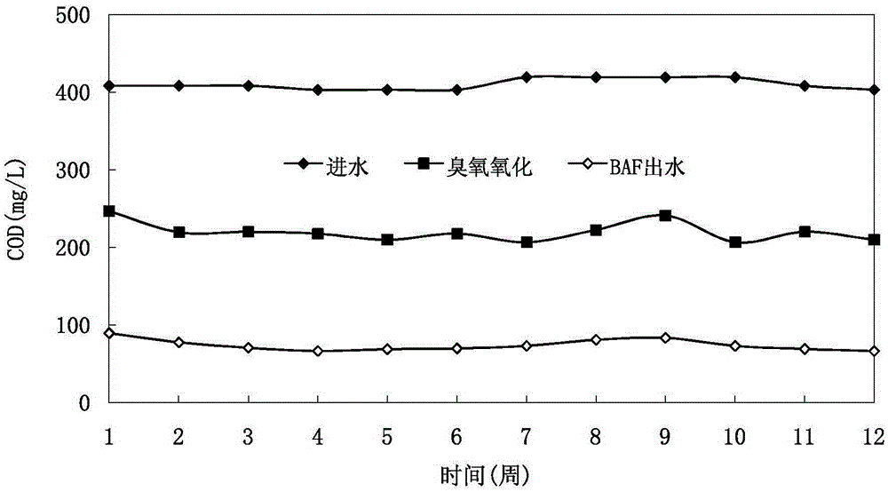 Activated carbon catalytic ozonation device and its sewage treatment process