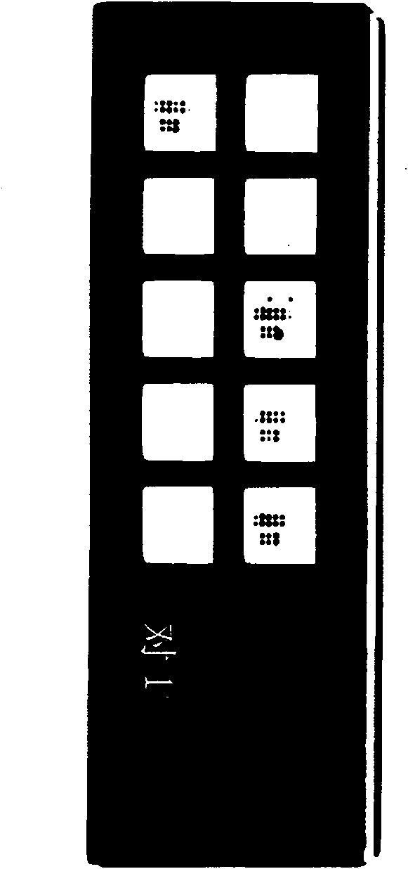 Hepatitis C virus variation detection protein chip, preparation method and application thereof