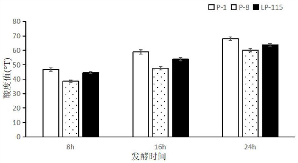 Rubus idaeus fermented lactic acid bacteria and preparation of polyphenol-rich rubus idaeus fermented beverage