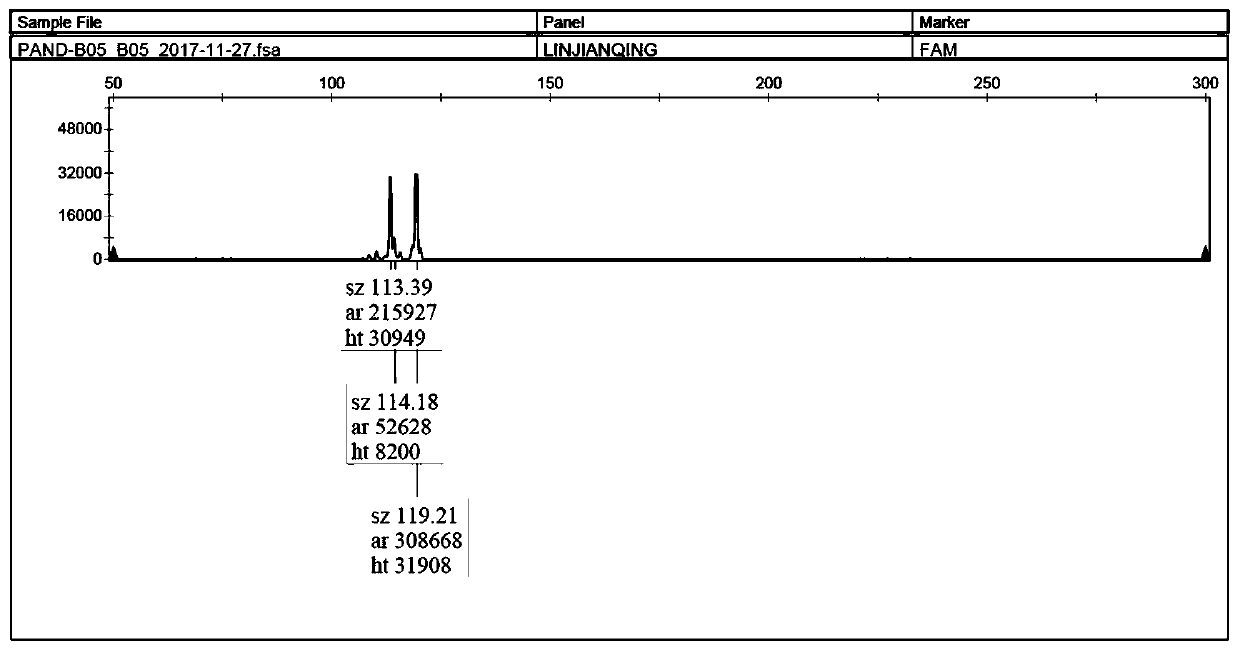 Giant Panda Microsatellite Polymorphic Sites, Identification Methods and Primer Sequences