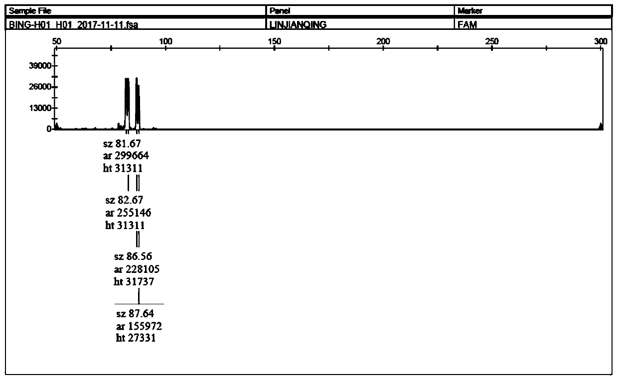 Giant Panda Microsatellite Polymorphic Sites, Identification Methods and Primer Sequences