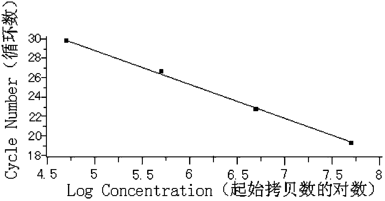 A kit for detecting the expression level of wt1 gene mrna